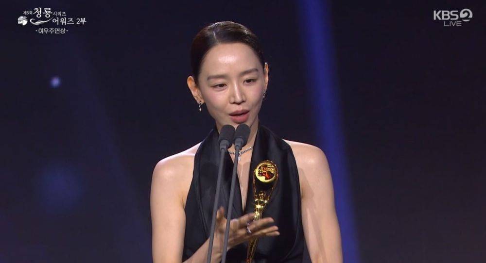 Shin Hye Sun wins Best Actress over strong contenders Kim Go Eun and Park Ji Hyun at the 5th Blue Dragon Series Awards