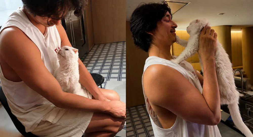 Gong Yoo says goodbye to his beloved cat KongKong with a heartbreaking message and promises, ‘Let’s meet again’