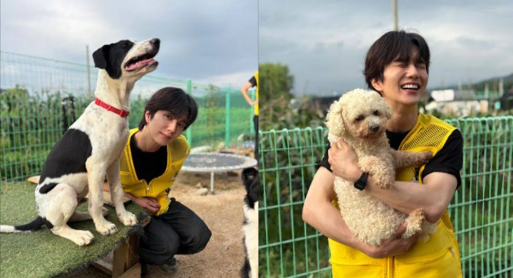 Yoo Seung Ho spends a hot summer day volunteering at an abandoned animal shelter and says helping even one more dog makes the hard work worth it