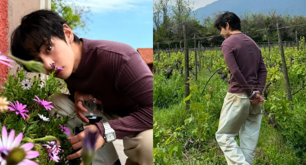 BTS' V shares relaxing vineyard photos in Chile and playfully clears up a funny misunderstanding
